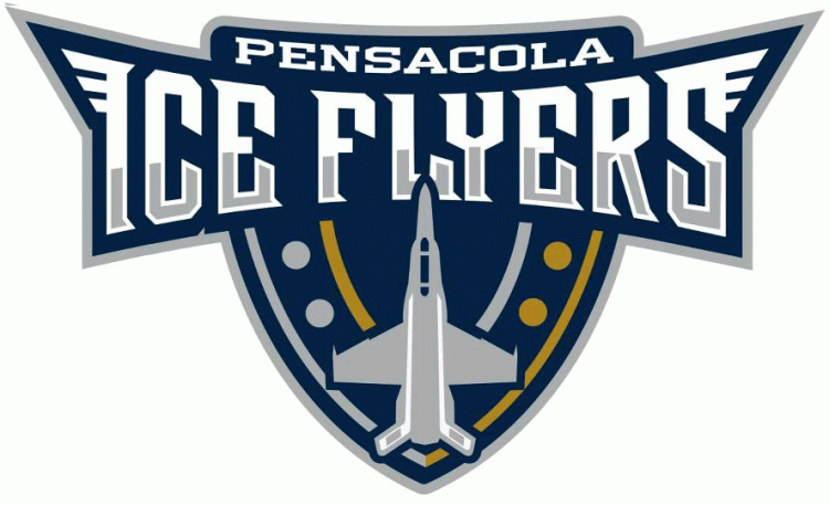 pensacola ice flyers 2012 primary logo iron on transfers for T-shirts